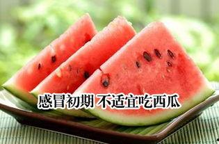 感冒了吃瓜,吃瓜助力恢复健康 第2张 感冒了吃瓜,吃瓜助力恢复健康 第2张