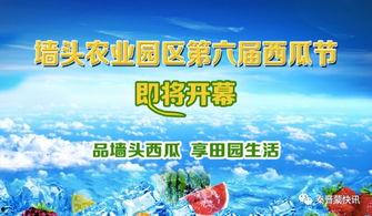 府谷县吃瓜,瓜果飘香,品味乡愁 第1张 府谷县吃瓜,瓜果飘香,品味乡愁 第1张