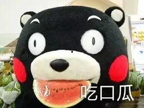 吃瓜歌怎么背,轻松掌握记忆秘诀  第1张