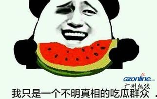 憨憨吃瓜群众  第2张