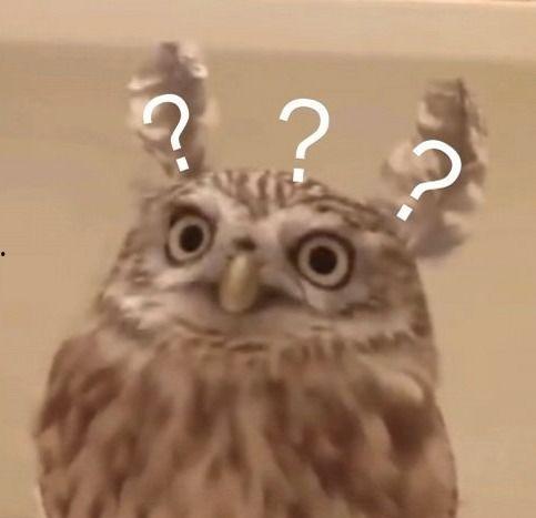 谢安然吃瓜,揭秘娱乐圈幕后真相  第3张