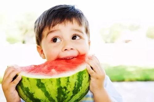 摘杏吃瓜视频大全,视频大全带你领略田园风光  第3张