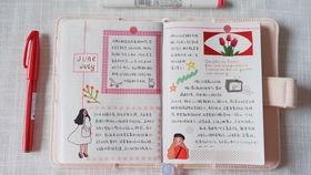 吃瓜女孩手账本,揭秘娱乐圈幕后故事  第3张