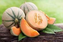 刺玫瑰吃瓜网,揭秘娱乐圈幕后真相,带你领略明星生活百态 第2张 刺玫瑰吃瓜网,揭秘娱乐圈幕后真相,带你领略明星生活百态 第2张