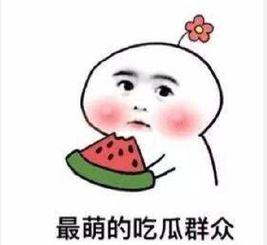 吃瓜群众范娜娜,揭秘娱乐圈幕后故事  第3张