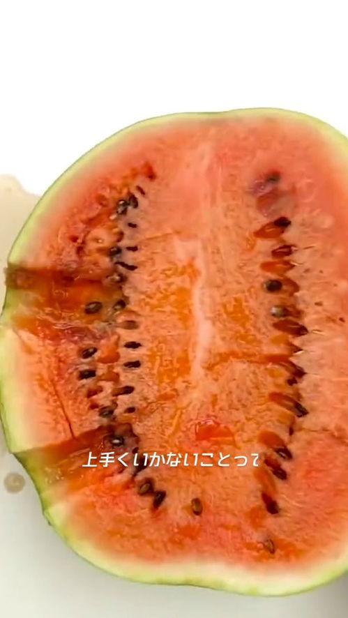 热可乐吃瓜  第1张