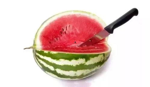 高级的吃瓜人,揭秘高级吃瓜者的智慧人生 第2张 高级的吃瓜人,揭秘高级吃瓜者的智慧人生 第2张