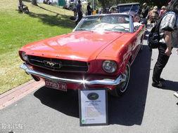 墨尔本车吃瓜,一场意外引发的全民热议 第1张 墨尔本车吃瓜,一场意外引发的全民热议 第1张