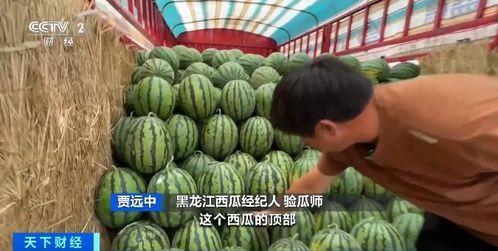 兴县吃瓜,吃瓜也能吃出风味  第3张