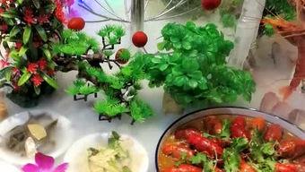 诸城摆摊火锅吃瓜,摆摊吃瓜成潮流 第2张 诸城摆摊火锅吃瓜,摆摊吃瓜成潮流 第2张