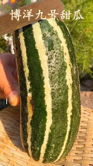 带你吃瓜吃到底,揭秘娱乐圈那些不为人知的幕后故事  第1张