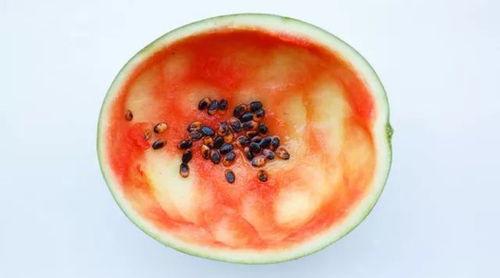 勺子吃老汉瓜视频,一场爆笑的乡村奇遇记  第2张