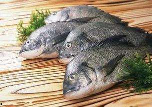 妹妹剖鱼吃瓜后续,揭秘家庭温馨日常  第1张