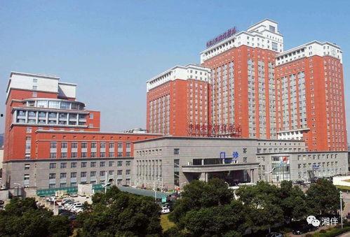湖南湘雅医院吃瓜,揭秘背后的真相与反思  第3张