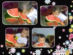 欢欢吃瓜  第1张