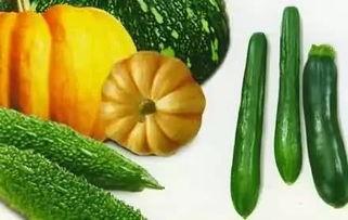 欢欢吃瓜  第2张