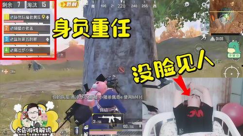 吃 瓜精英  第1张