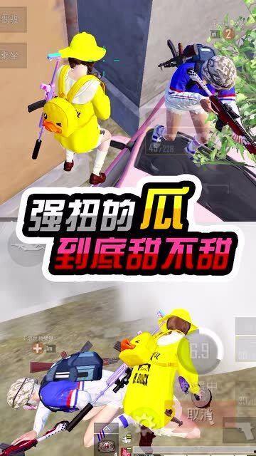 吃 瓜精英  第3张