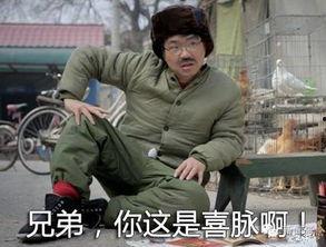 每天都在疯狂吃瓜剧情,揭秘疯狂吃瓜背后的剧情风云  第1张