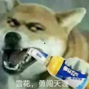 每天都在疯狂吃瓜剧情,揭秘疯狂吃瓜背后的剧情风云  第2张