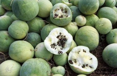 新吃瓜世界,揭秘娱乐圈幕后风云  第3张