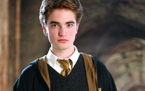 吃瓜罗伯特赵小童,罗伯特赵小童的神秘故事  第3张