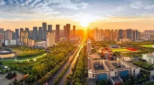 高邮城南新区吃瓜,夏日吃瓜盛宴，探寻瓜果飘香的小区生活  第3张